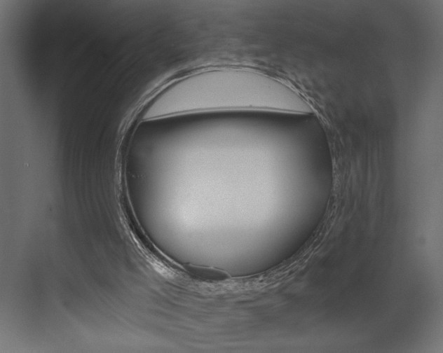 X0000073520005200607311001
