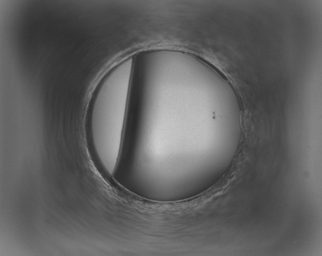 X0000073520007200607311001
