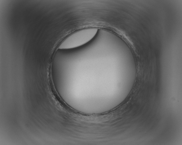 X0000073520010200607311001