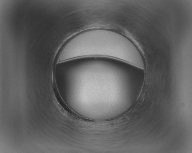 X0000073520011200607311001
