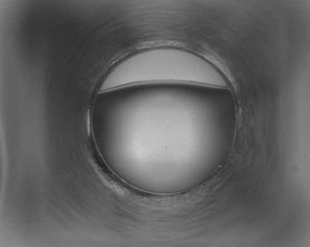 X0000073520013200607311001