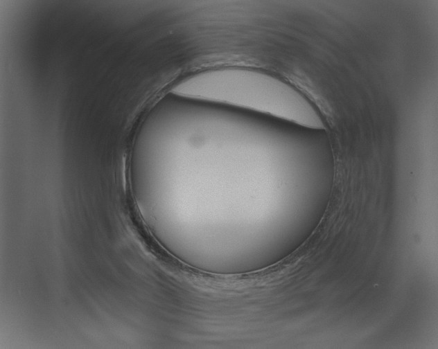 X0000073520014200607311001