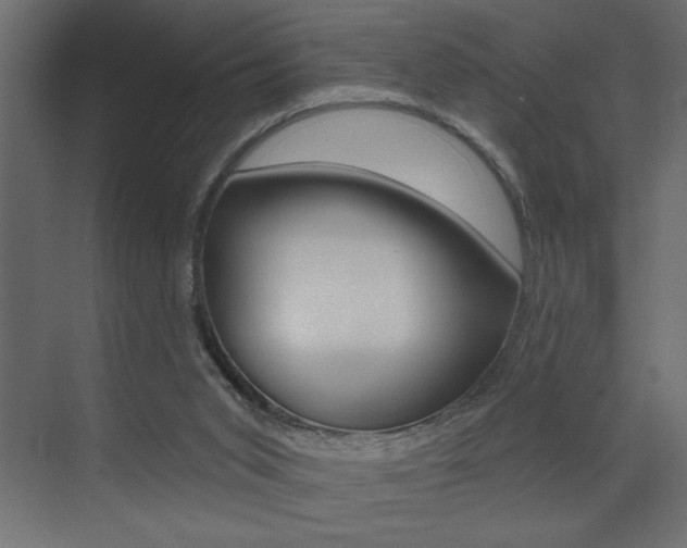 X0000073520015200607311001