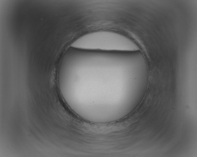 X0000073520018200607311001