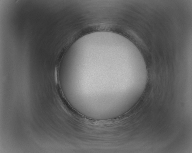 X0000073520022200607311001