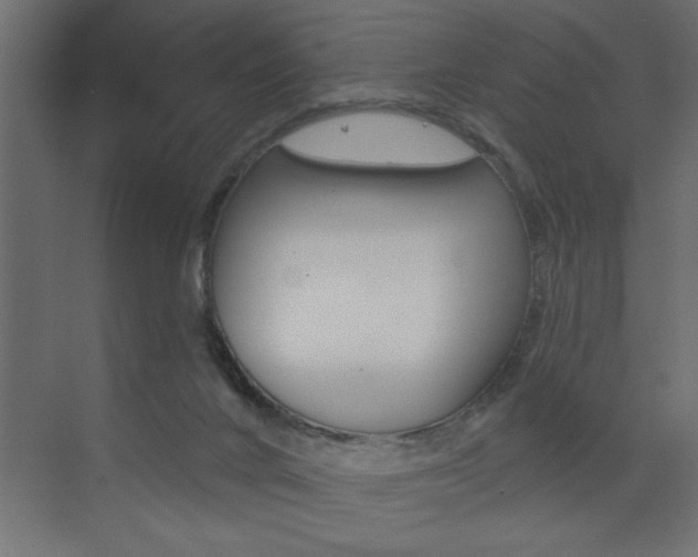 X0000073520024200607311001