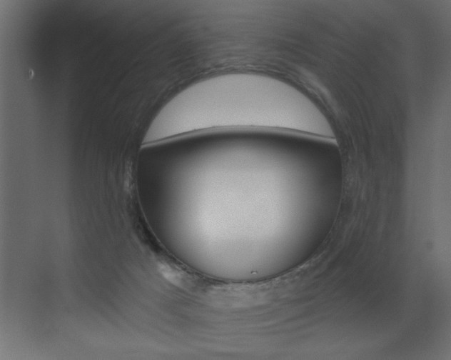 X0000073520025200607311001