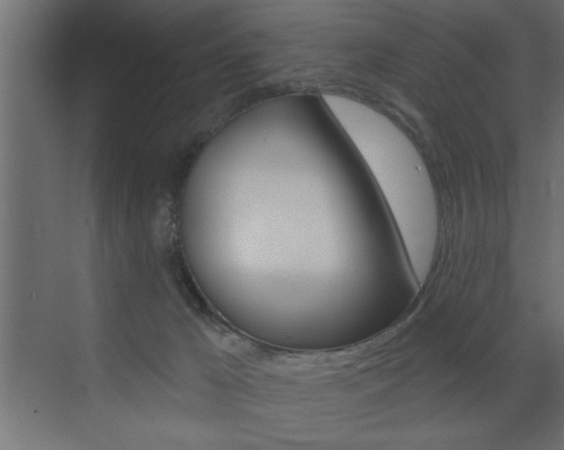 X0000073520029200607311001