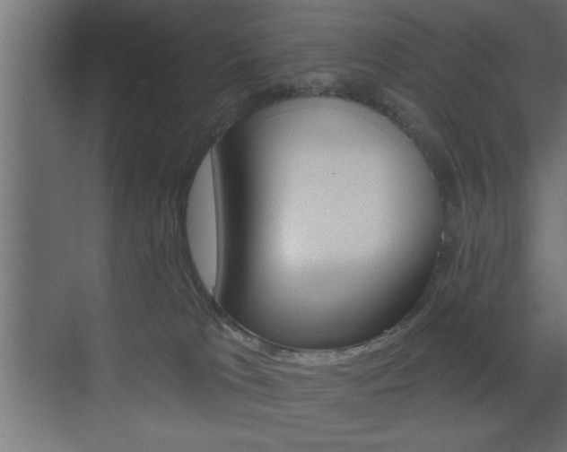 X0000073520037200607311001