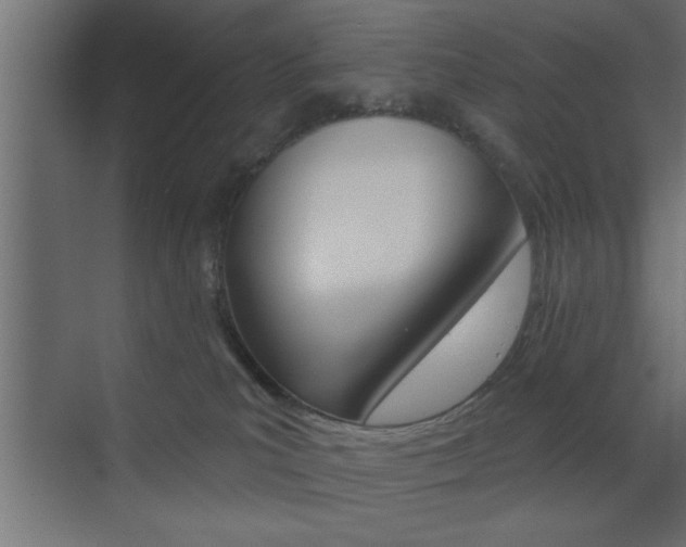 X0000073520039200607311001