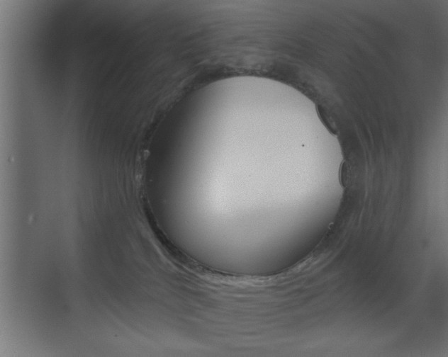 X0000073520040200607311001