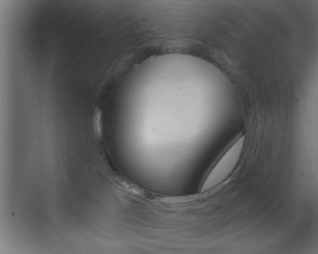 X0000073520041200607311001