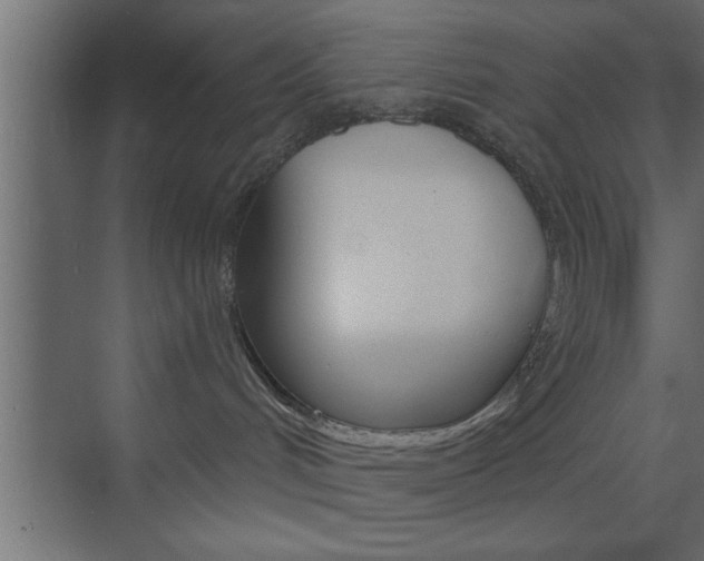 X0000073520048200607311001