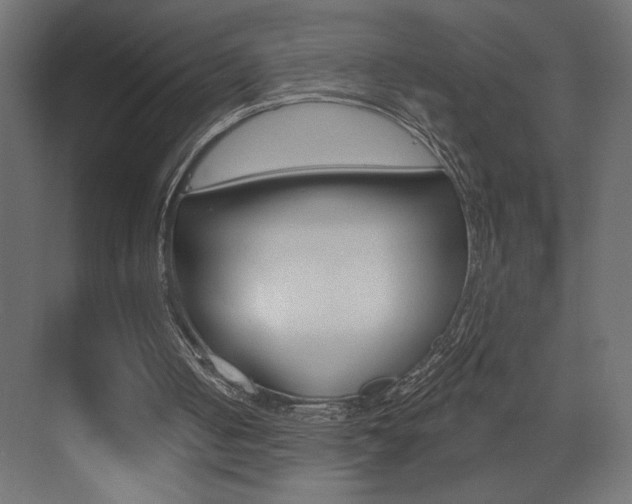 X0000073520050200607311000