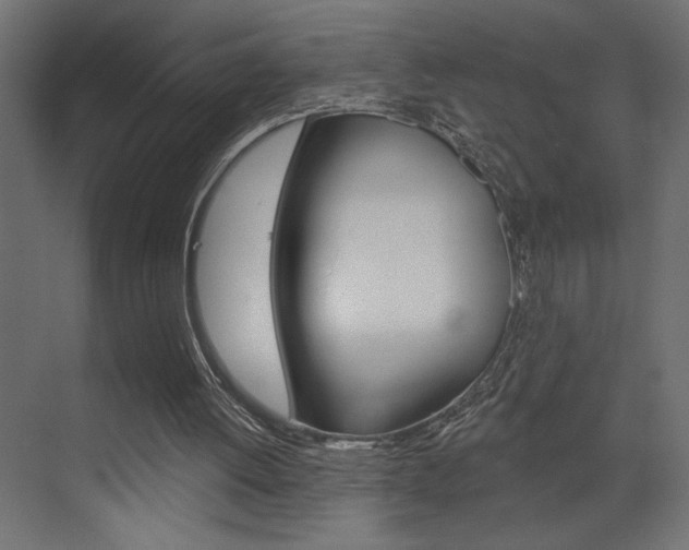 X0000073520052200607311000
