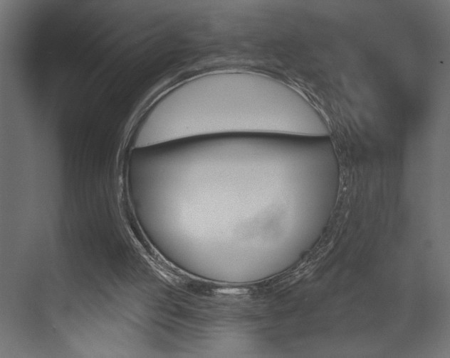 X0000073520053200607311000