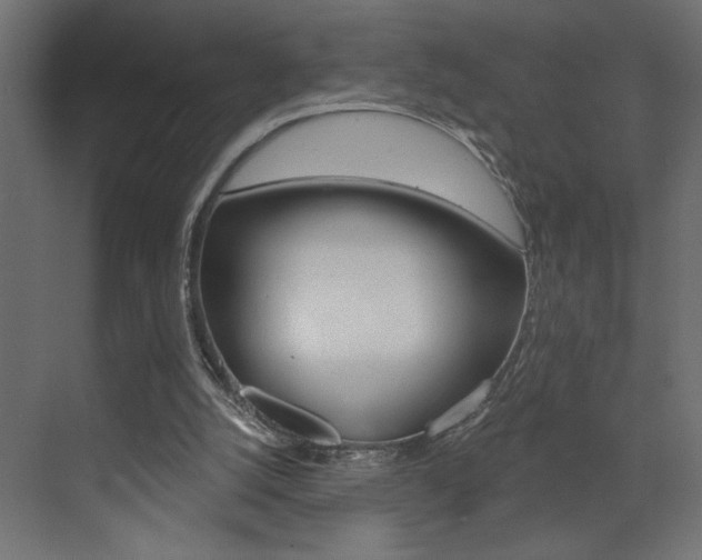 X0000073520056200607311000