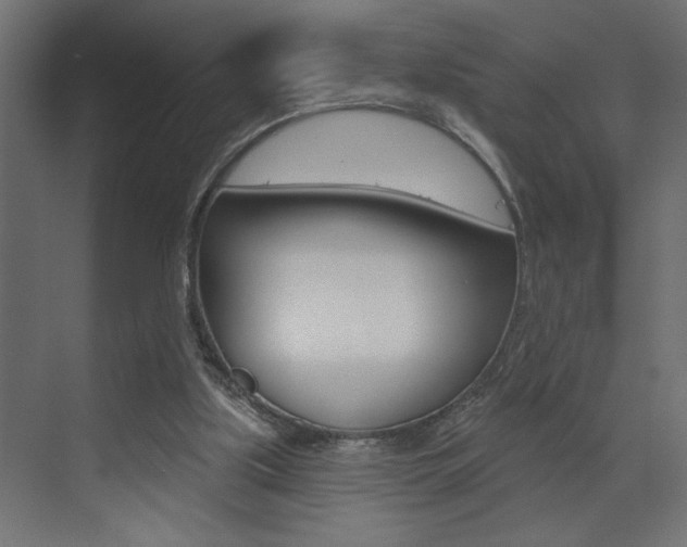X0000073520059200607311000