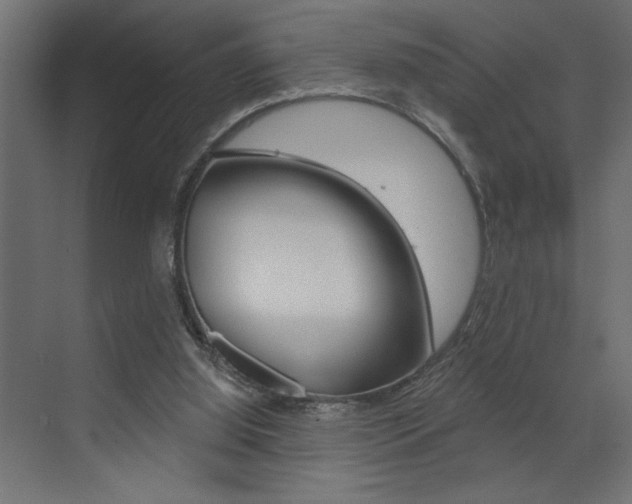 X0000073520060200607311000