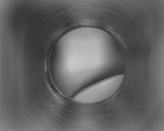 X0000073520062200607311000