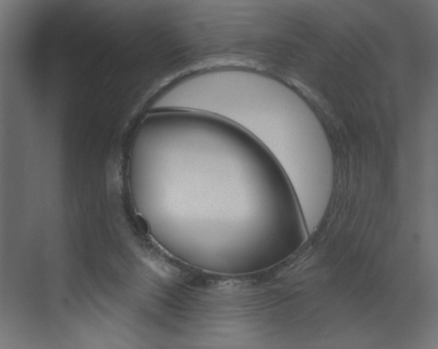 X0000073520064200607311000