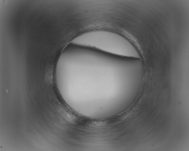 X0000073520065200607311000