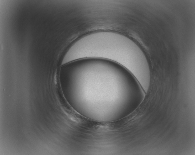 X0000073520068200607311000