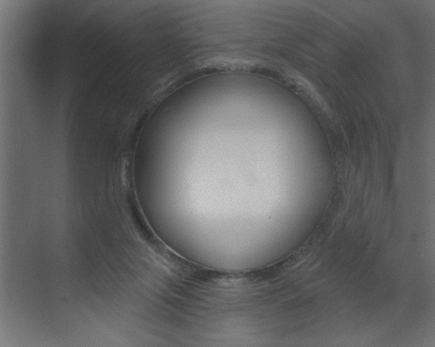 X0000073520071200607311000