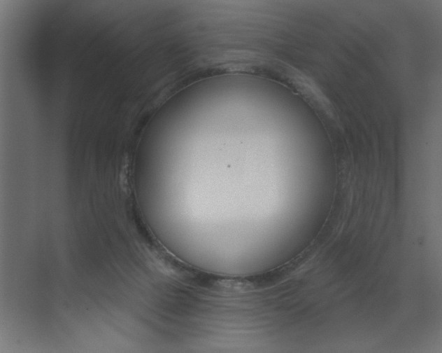X0000073520073200607311000