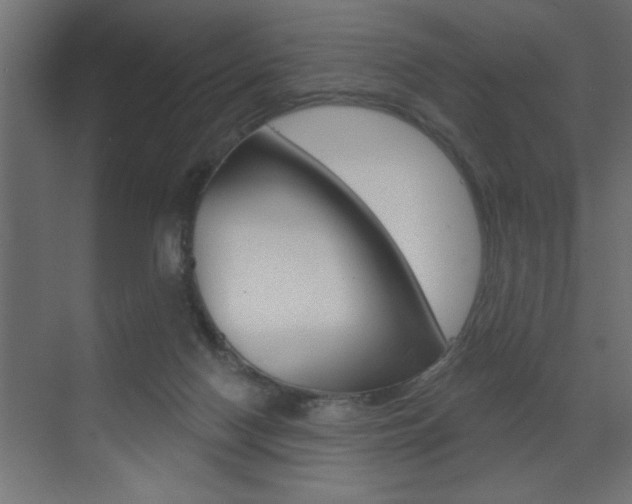 X0000073520074200607311000