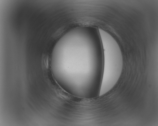 X0000073520076200607311000
