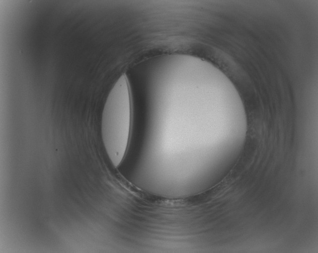 X0000073520077200607311000