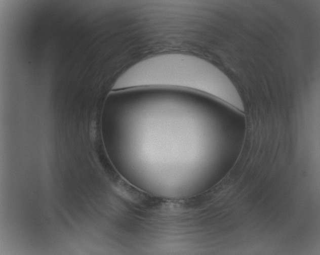 X0000073520080200607311000
