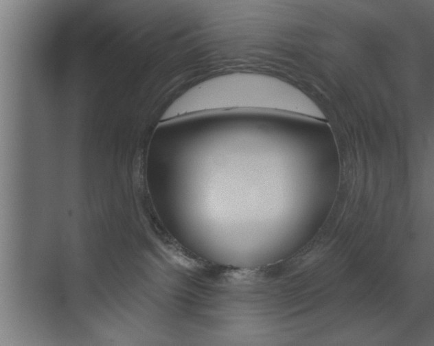 X0000073520092200607311001