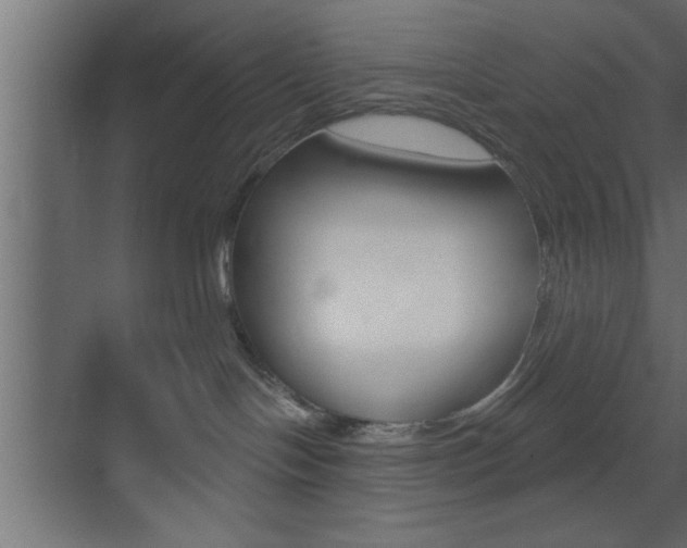 X0000073520094200607311001