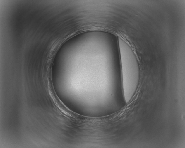 X0000073520097200607311000