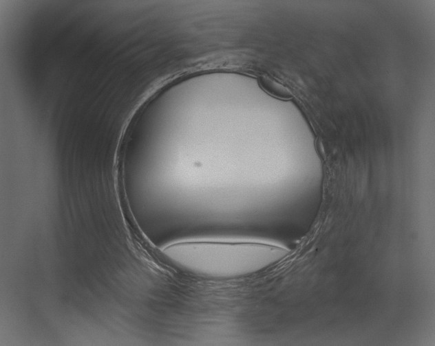 X0000073520100200607311000