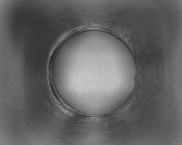 X0000073520102200607311000