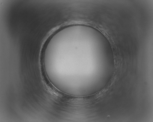 X0000073520104200607311000