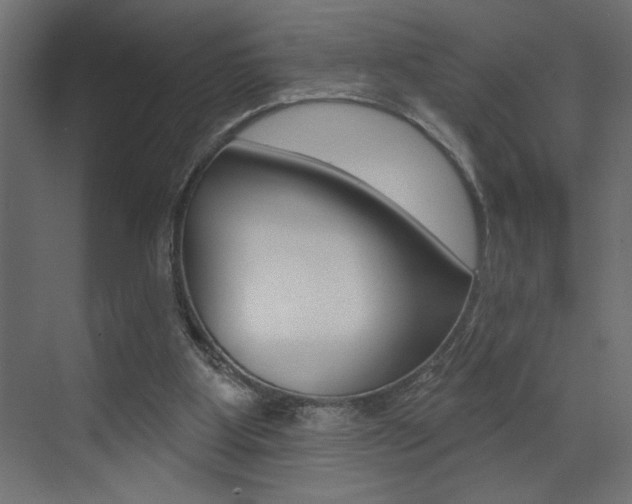 X0000073520107200607311000