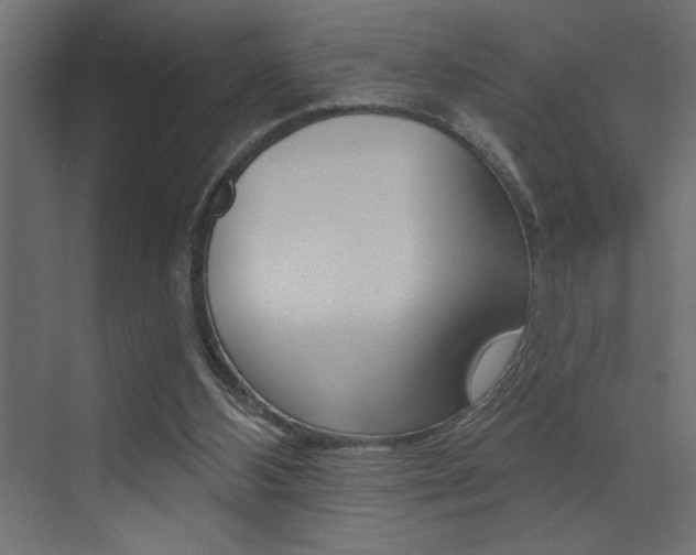 X0000073520108200607311000