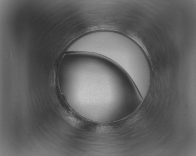 X0000073520109200607311000