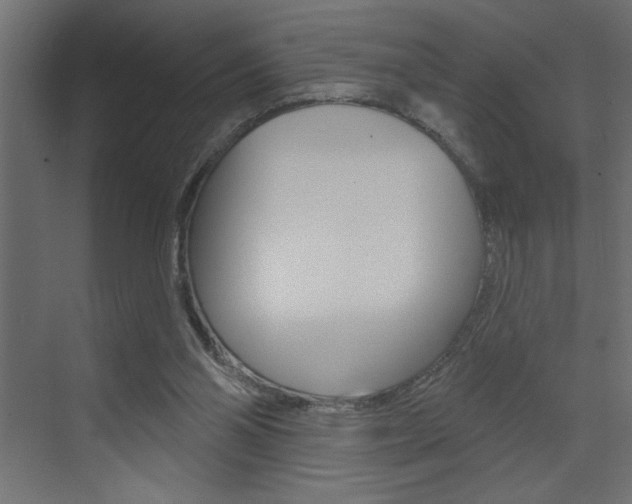 X0000073520110200607311000