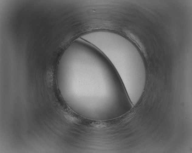 X0000073520113200607311000