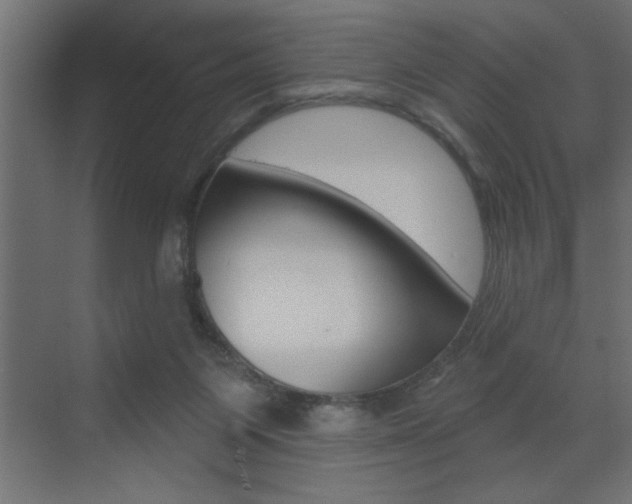 X0000073520119200607311000