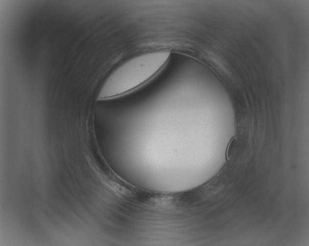 X0000073520120200607311000