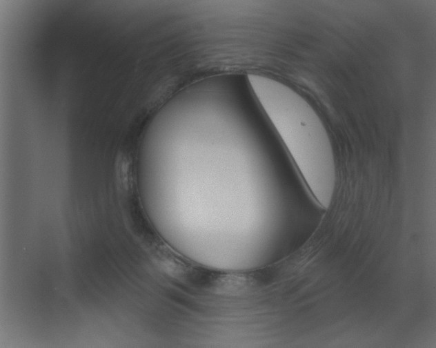 X0000073520123200607310959