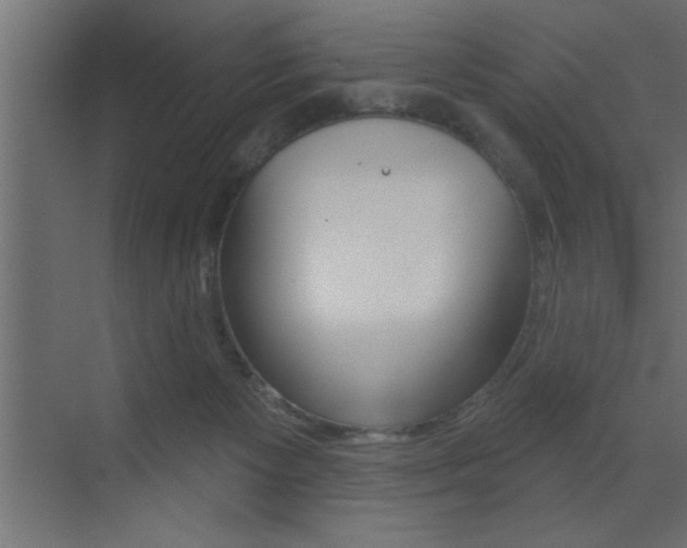 X0000073520125200607310959
