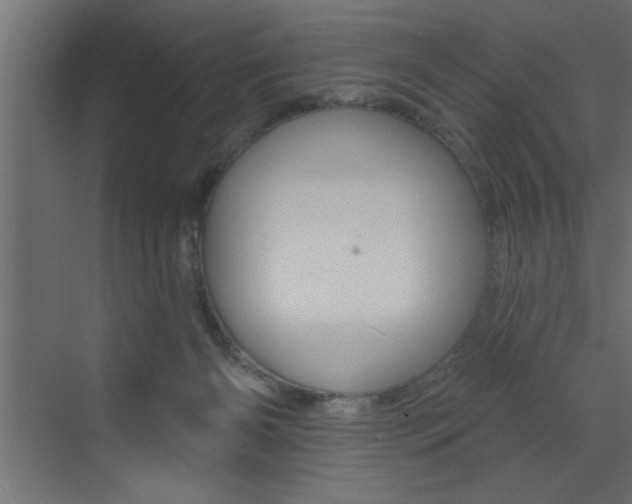 X0000073520126200607310959