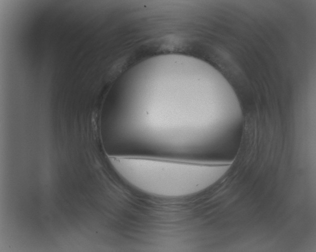 X0000073520127200607310959